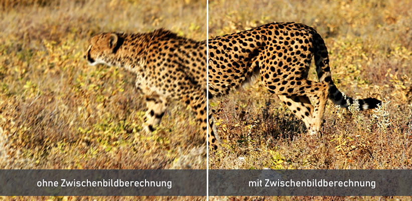 Epson EH-LS9000B Zwischenbildberechnung Vorteil 