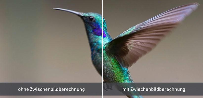 XGIMI Horizon 20 Max Zwischenbildberechnung