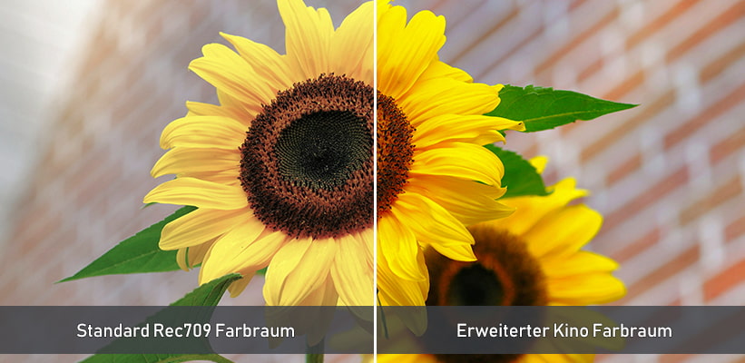 Epson EF-72 Farbraum Direktvergleich