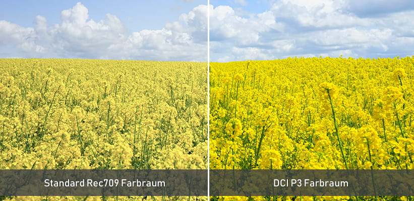Samsung LPF5D Farbraum Vergleich
