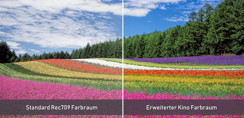 JMGO PicoPlay+ erweiterter Kino Farbraum Vergleich