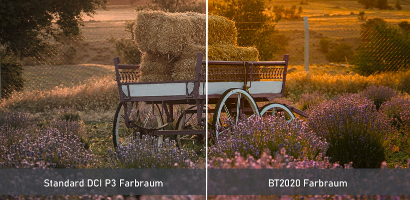 BenQ V5000i Farbraum Leistung Praxisvergleich