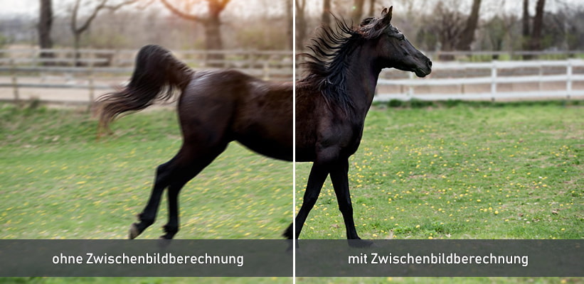 JMGO N1S SE MEMC Zwischenbildberechnung Test