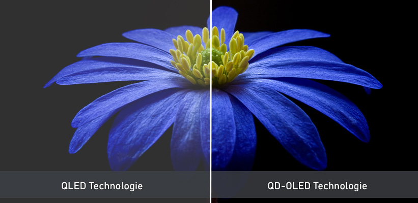 Samsung S95C OLED HDR10+ Praxistest