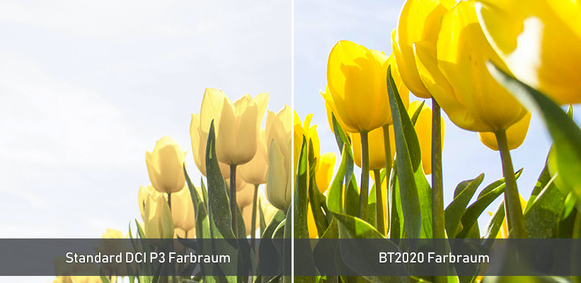 XGIMI Horizon 20 Max Farbraum BT2020