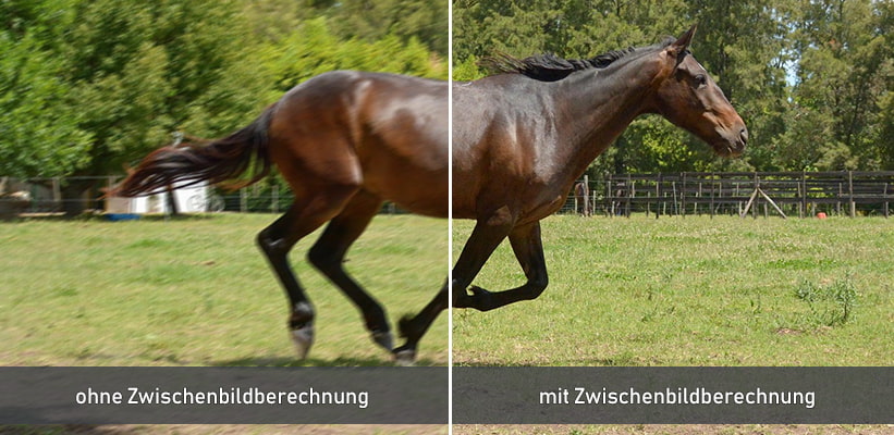 Optoma UZ38x PureMotion Zwischenbildberechnung Vergleich