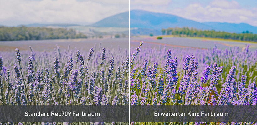 Epson LS670W Kino Farbraum Vergleich