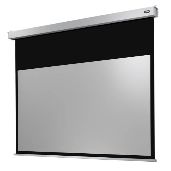 Celexon Leinwand Motor Professional Plus 220 x 124 cm