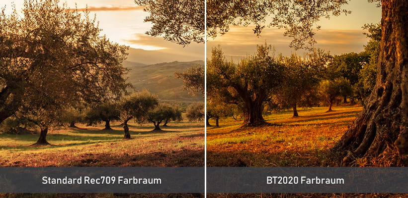 JMGO N1S Ultimate BT2020 Farbraum Vergleich