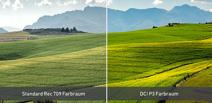 Hisense 110UXNQ DCI P3 Farbraum