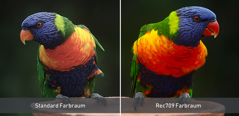 Acer P1558i Farbraum Test Vergleich