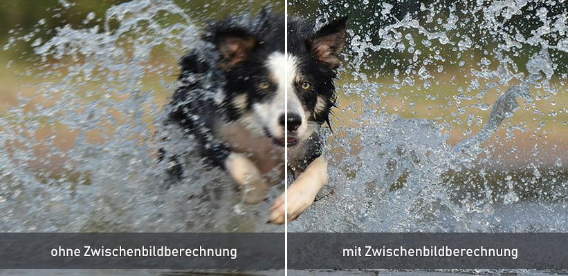 BenQ TK705STi MEMC Zwischenbildberechnung