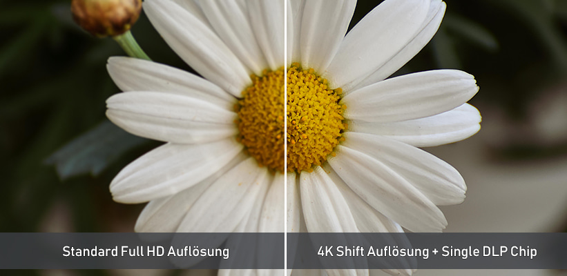 Optoma Photon Life PK31 4K oder Full HD Vergleich