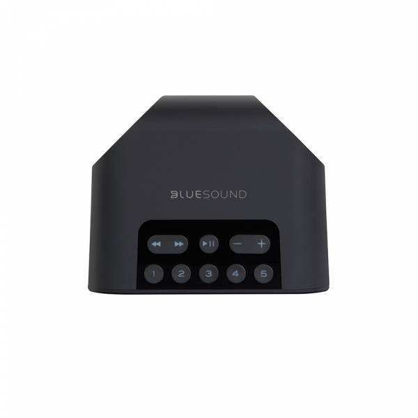 Bluesound PULSE FLEX 2i flexibler Streaming-Lautsprecher, Schwarz