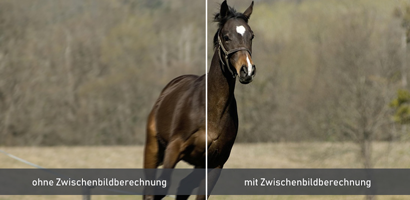 Optoma UHZ68LV-W PureMotion Zwischenbildberechnung