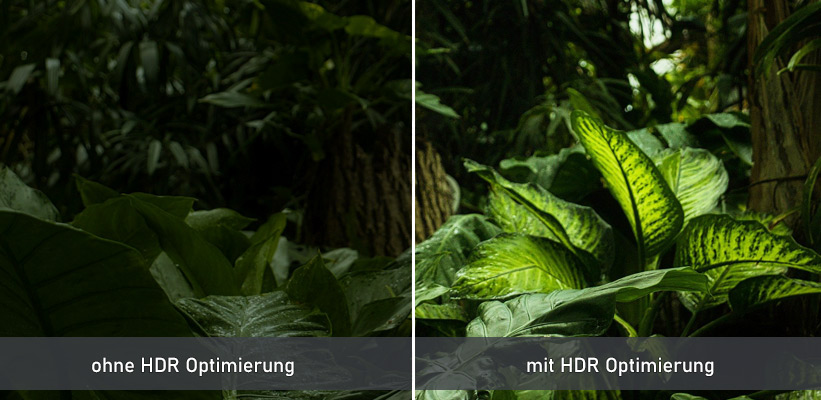 Acer H6815BD HDR Vergleich