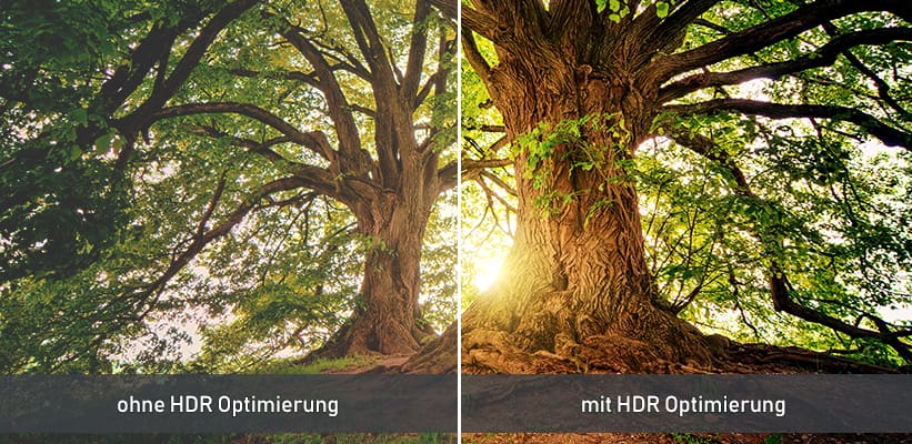 XGIMI Titan Noir Ultra Max Kontrast HDR Optimierung