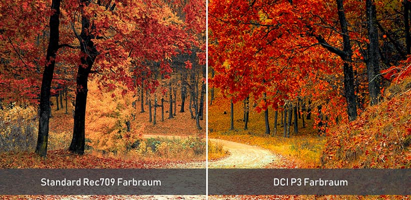 Epson EH-LS9000B DCI P3 Farbraum Praxis
