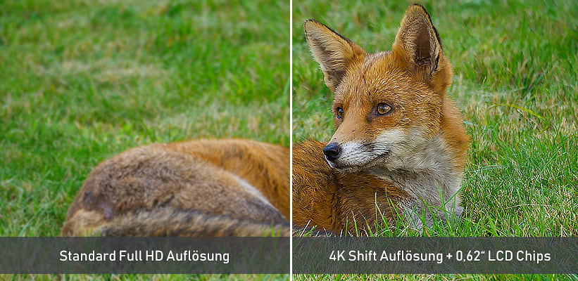 Epson EF-73 4K Shift Auflösung gegen Full HD Auflösung Vergleich