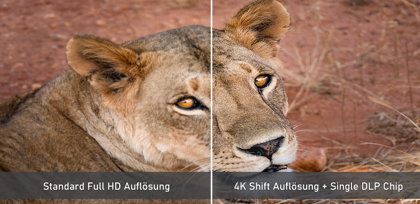 BenQ W5700S Full HD vs 4K Vergleich