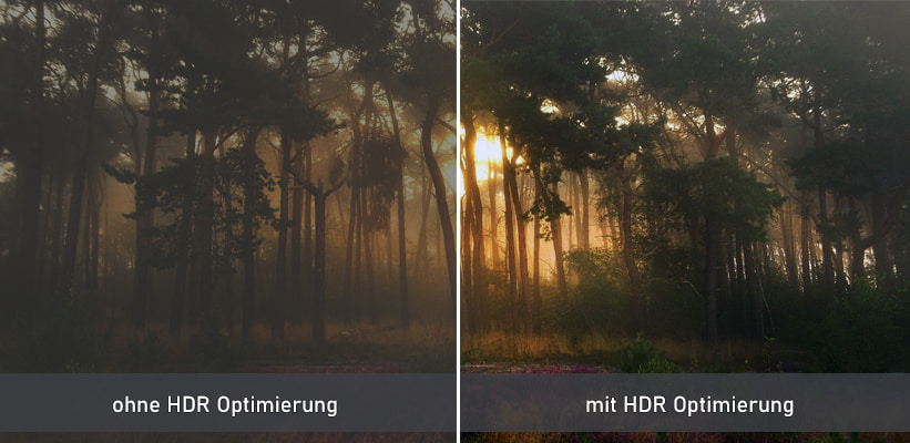 Optoma UHD38x HDR SDR Bildvergleich