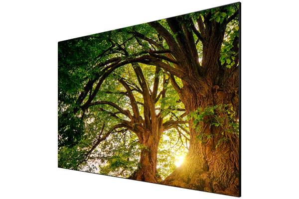 celexon Bright Onyx UST Kontrastleinwand 220 x 124cm - 100" SlimLine Rahmenleinwand