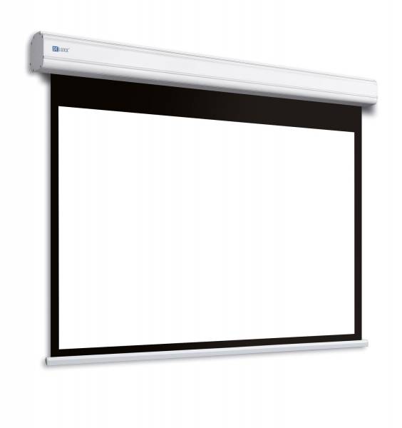 DELUXX Professional Motorleinwand 1:1 Mattweiss Vision Pro 203 x 203 cm