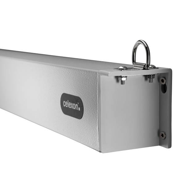 Celexon Leinwand Motor Professional Plus 220 x 124 cm