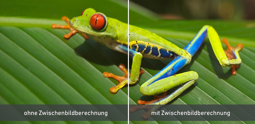 Nebula Cosmos 4K SE Zwischenbildberechnung