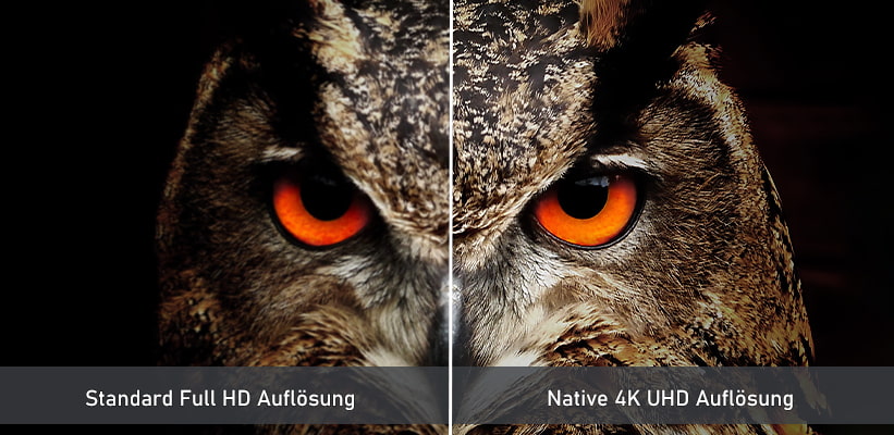 Samsung GQ55LS03BGUXZG Full HD oder 4K Praxisvergleich