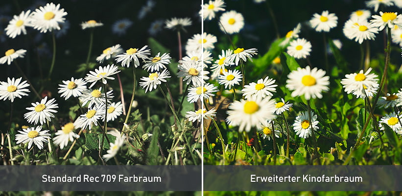 XGIMI MoGo 3 Pro LED Farbraum Praxis Vergleich