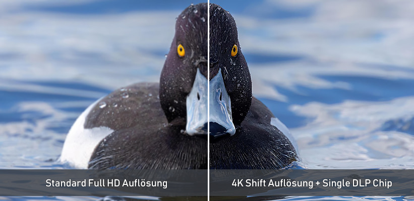 JMGO N3 4K Bildvorteil Upscaling