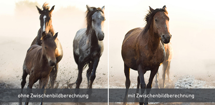 NEBULA X1 Zwischenbildberechnung