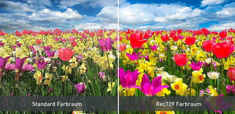 BenQ TH575 Rec709 Farbraum Test