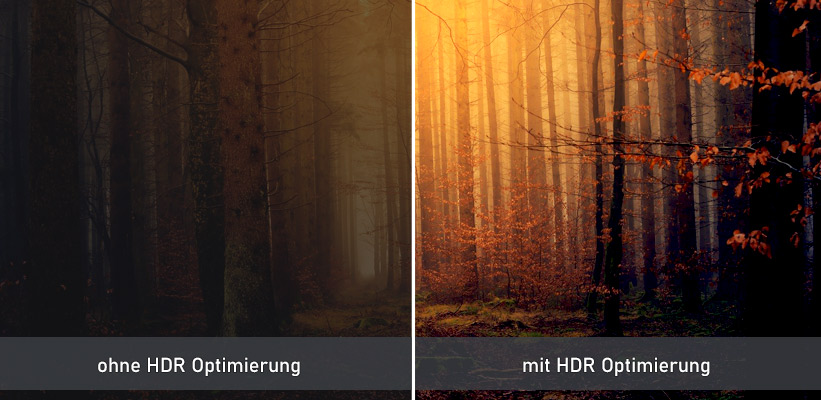 ViewSonic X1000-4K HDR SDR Vergleich