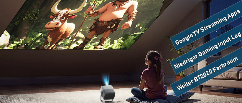 JMGO N1S SE Wohnraum Beamer Installation