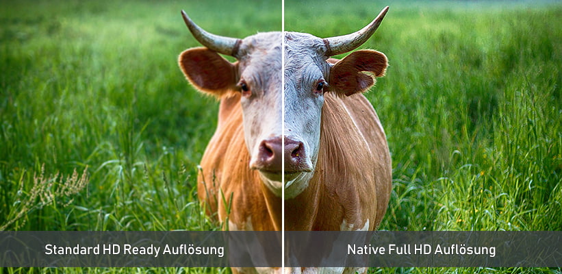 Standard HD und Full HD Vergleich XGIMI GoMo 3 Pro