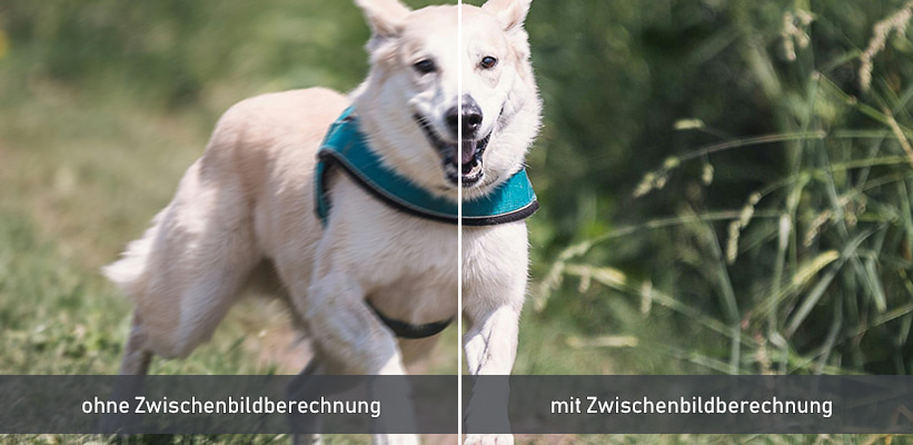 Formovie Xming Page Two MEMC Zwischenbildberechnung Vergleich