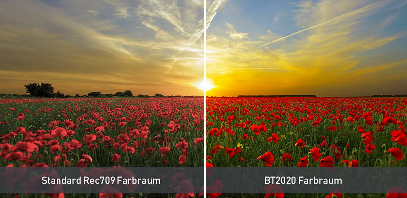 Hisense C3 TriChroma BT2020 Farbraum Vergleich