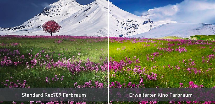 LG PF610P LED Farbraum Praxistest