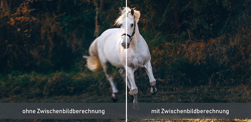 XGIMI Horizon 20 Pro Zwischenbildberechnung