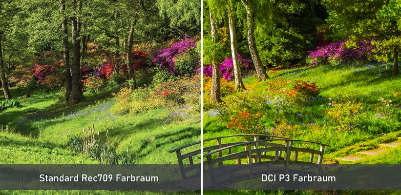 Epson LS12000B DCI P3 Farbraum Praxis