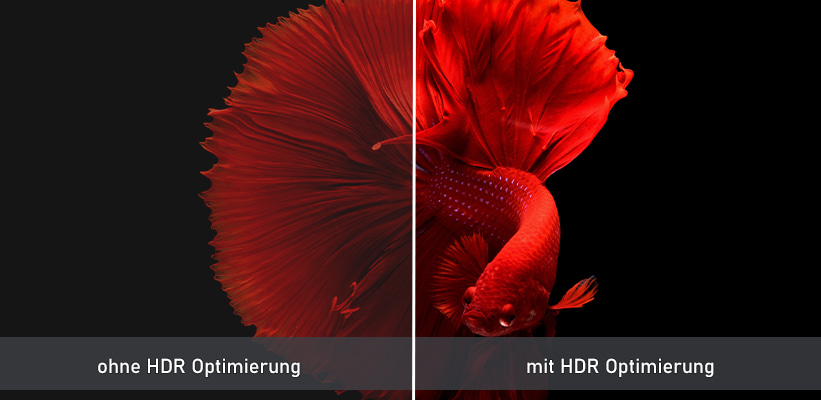 Samsung The Frame 85 Zoll HDR Schwarzwert Bildvergleich