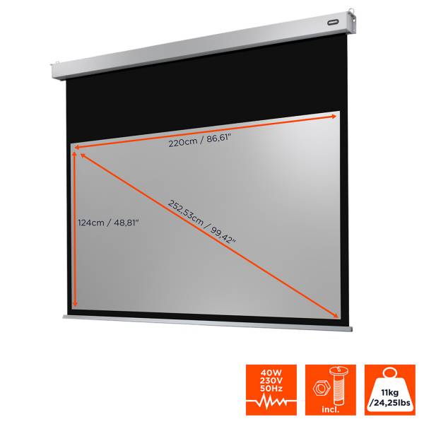 Celexon Leinwand Motor Professional Plus 220 x 124 cm