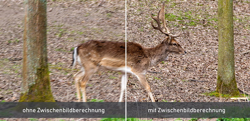 Epson EF-73 Zwischenbildberechnung Epson Frame Interpolation