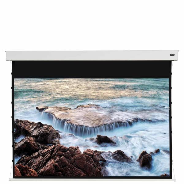 celexon Pearlstone Kontrastleinwand Professional Plus 243 x 136cm - 110" Akku Tension Motorleinwand