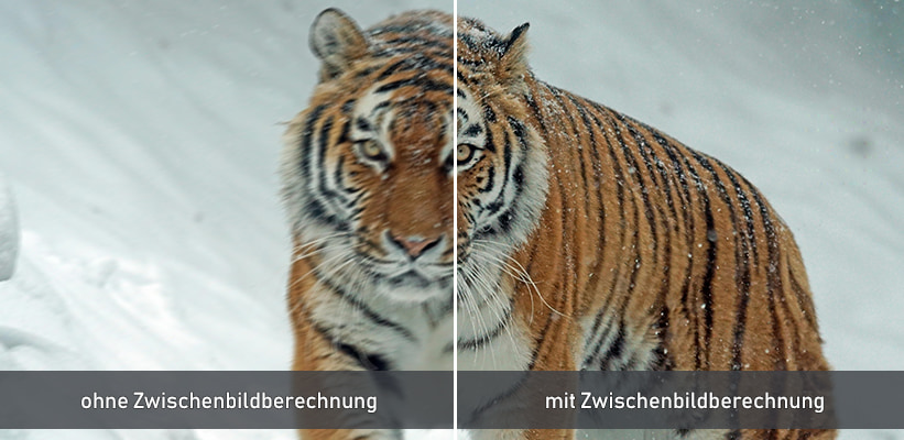 Epson EF-71 Zwischenbildberechnung