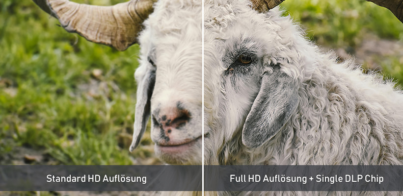 Standard HD und Full HD Vergleich XGIMI GoMo 3 Pro