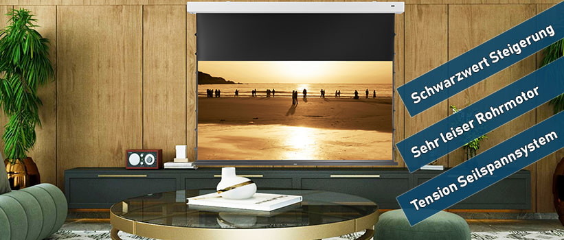 celexon Greyvision Kontrastleinwand 100 Zoll Installation Ambiente Mehrwerte