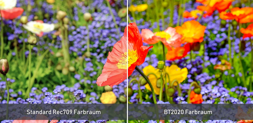 Hisense XR10 TriChroma BT2020 Farbraum Vergleich